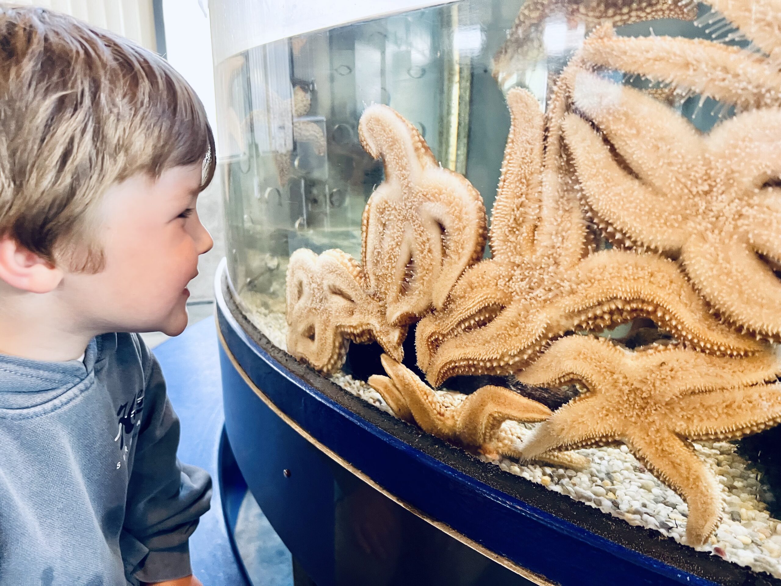 69353F6F-9CC9-4616-8B68-EBC9635E72BD_L0_001-4_5_2024, 12_31_00 PM