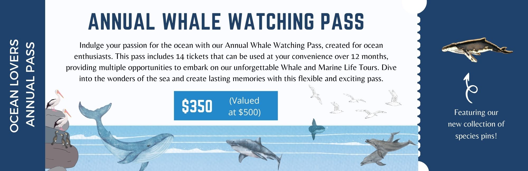 Whale Watching Pass Promo