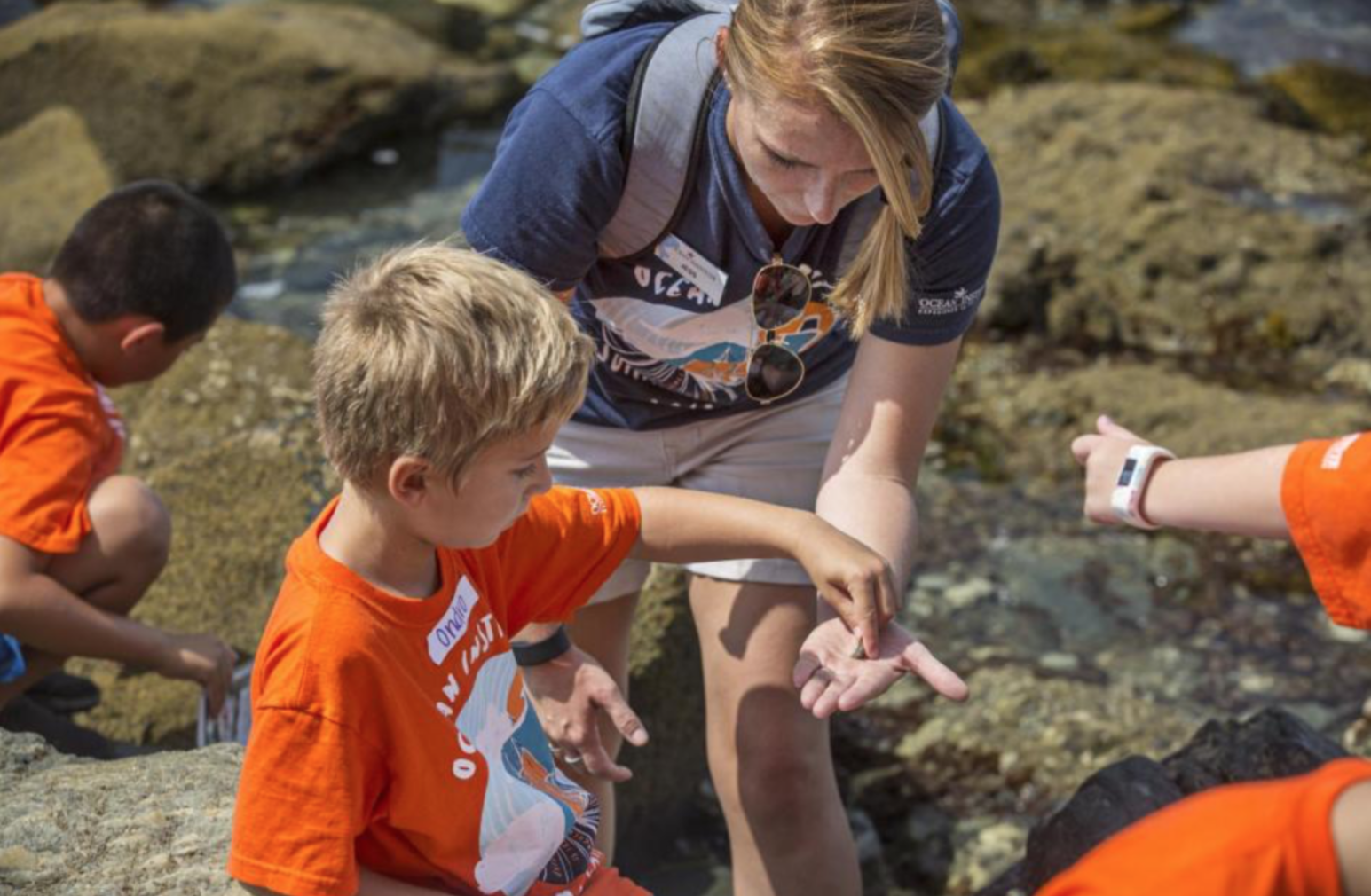 Summer Intern Flyer 2025 (1)